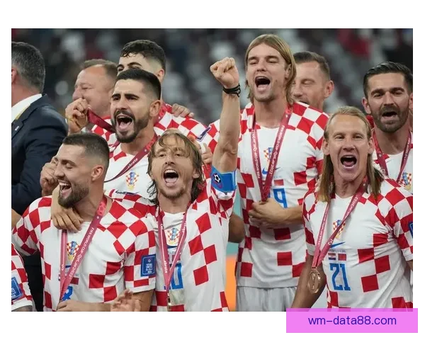 全球瞩目的2026世界杯决赛巅峰之夜谁将登顶世界足坛王座